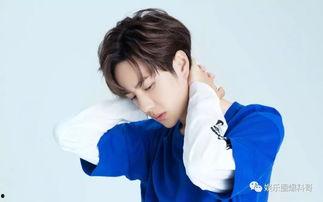 娱乐圈爆料刘诗诗鹿晗,甜蜜恋情曝光，粉丝沸腾！  第2张